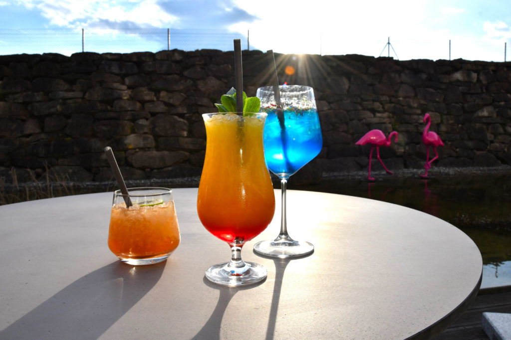 Trois cocktails fruités et frais posés sur une table au soleil, sur la terrasse de l'hôtel. En fond, il y a deux flamants roses décorant l'étang.