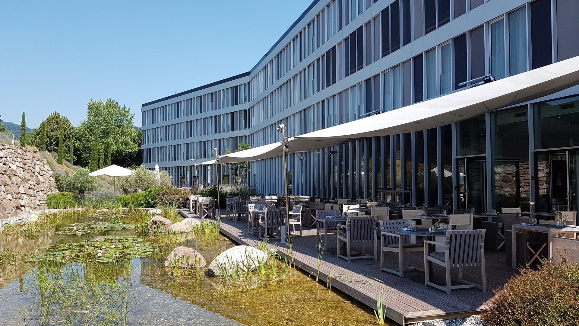 Hotel terrace below featuring a pond with water lilies.