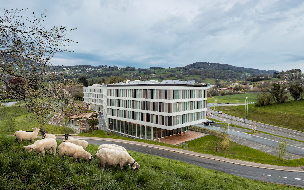 Photograph of the Modern Times Hotel. Located near the road and in the countryside. There are sheep enjoying the fresh air and grazing on the grass.
